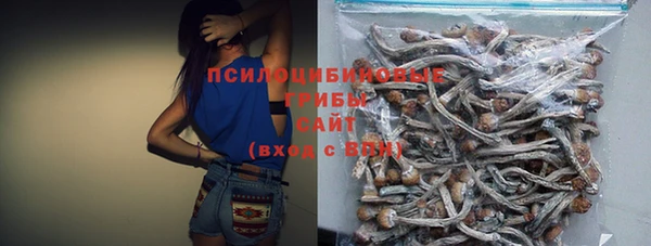 бошки Нягань