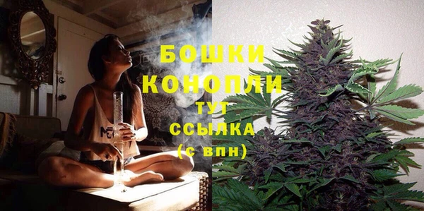 бошки Нягань